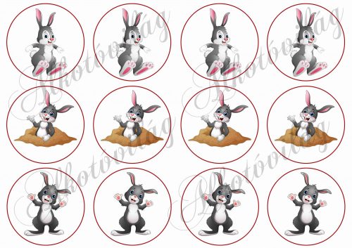 grey bunnies in circles