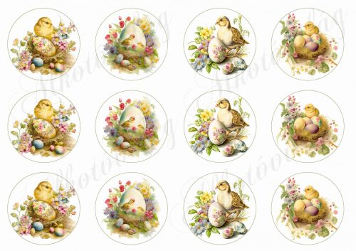 Húsvéti körök cuki kiscsibékkel, virágokkal - 6 cm körökben