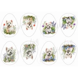   Tojások négyféle cuki westie kutyussal és tavaszi virágokkal