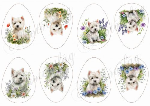 Tojások négyféle cuki westie kutyussal és tavaszi virágokkal