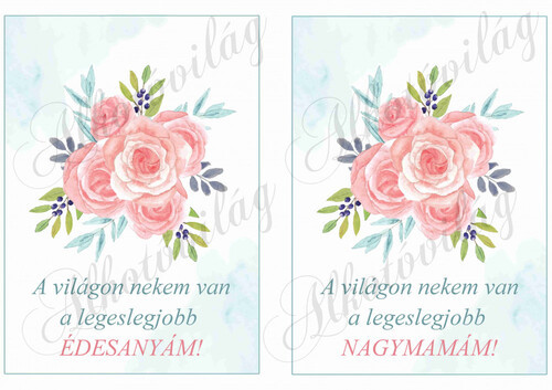 A világon nekem van... 2 db