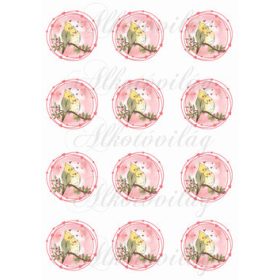   Cuki papagájok szív koszorúban anyák napjára, Valentin napra - KICSIBEN