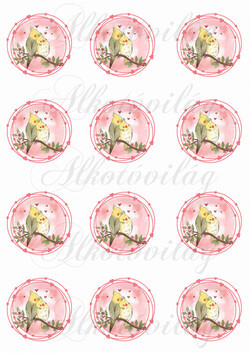 Cuki papagájok szív koszorúban anyák napjára, Valentin napra - KICSIBEN