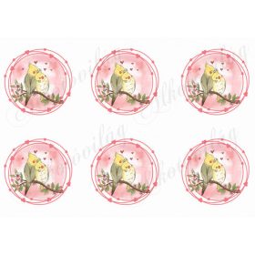   Cuki papagájok szív koszorúban anyák napjára, Valentin napra