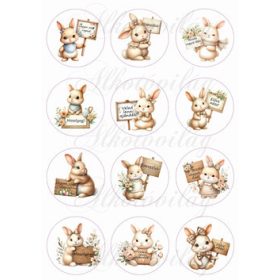 Nyuszik táblákkal, motivációs feliratokkal