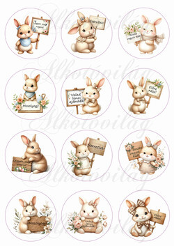 Nyuszik táblákkal, motivációs feliratokkal