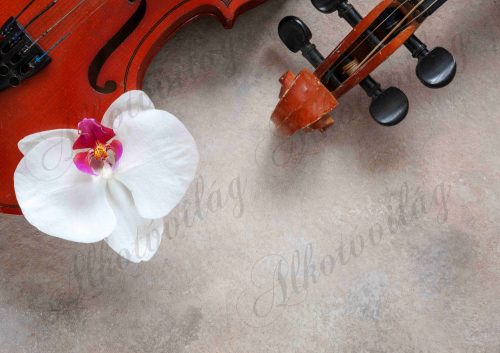 Fotóháttér hegedű részletekkel és fehér orchideával termékfotózáshoz