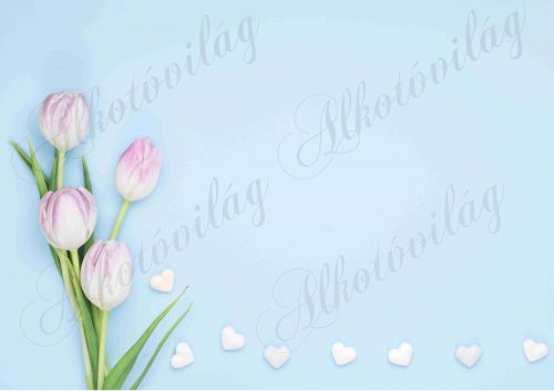 Fotóháttér lilás tulipánokkal és fehér szívekkel termékfotózáshoz