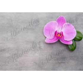   Fotóháttér pink orchideával szürke háttérrel termékfotózáshoz