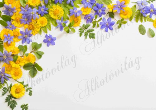 Fotóháttér sárga és lila virágokkal, zöld levelekkel termékfotózáshoz