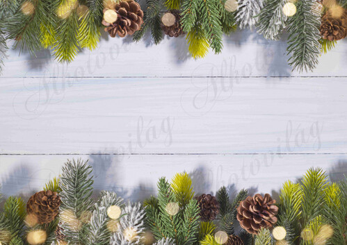 Fotóháttér  termékfotózáshoz - Fenyőágak tobozokkal, fénykörökkel