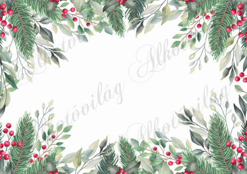 Fotóháttér  termékfotózáshoz - fenyőágak, levelek, piros bogyók