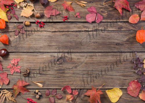 Fotóháttér  termékfotózáshoz - Őszi levelek barna deszkán