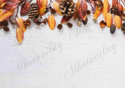 Fotóháttér  termékfotózáshoz - Őszi színes levelek tobozokkal